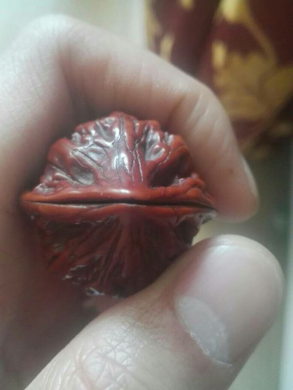 我这对老核桃开口了,有什么办法补救吗?_360