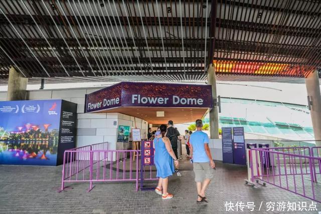 这是什么节奏?新加坡竟然花了10亿打造“原始森林”