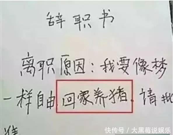我用一个奇葩把表情辞了!照片晒图片辞职信网友猪搞笑的老板图片
