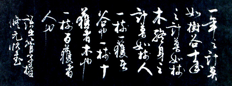 十年树木百年树人的意思是什么_十年树木_匝