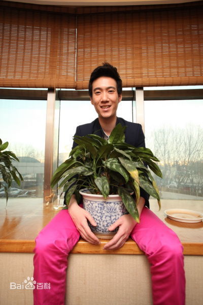 演员王宁春晚说小品的时候有个搭档小品中自称