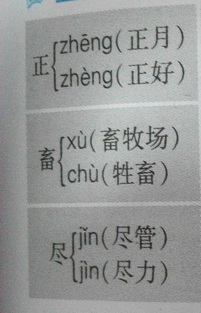 六年级上册 17课《少年闰土》课文中找六个多