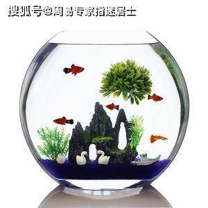 大慶魚缸售后維護(hù)電話地址（大慶魚缸售后維護(hù)電話地址查詢）