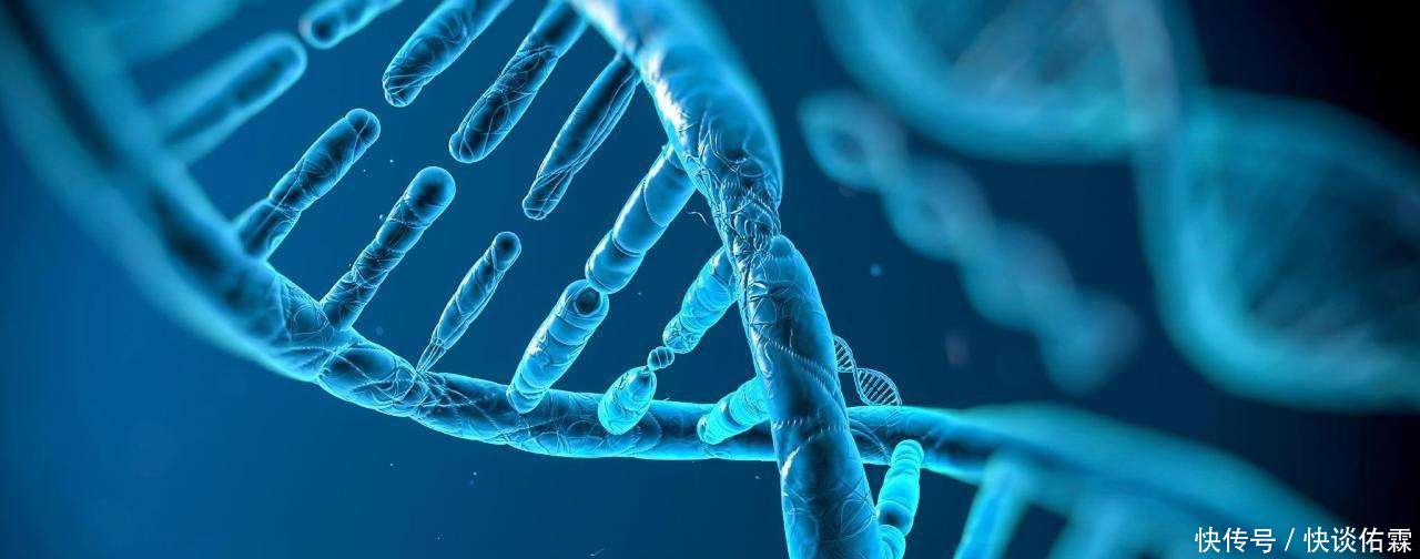 同样是近亲结婚,为何这个地方生出来的后代长