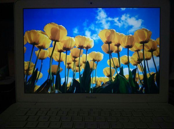 macbook强制关机无效。卡在关机界面强制关