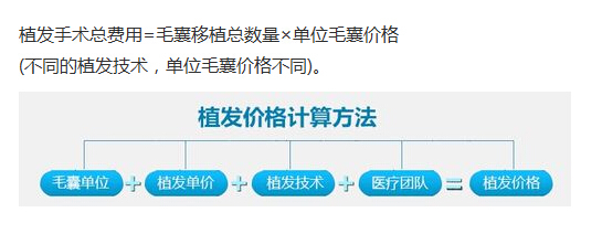 <em>头发移植</em>大概多少钱?_360问答