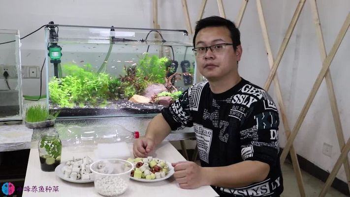 室外魚缸里適合養(yǎng)什么草植物（室外魚缸里適合養(yǎng)什么草植物呢）