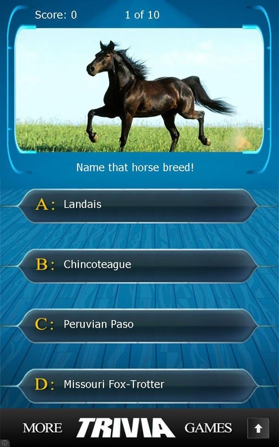 Name that Horse Breed Trivia截图13