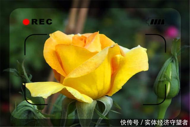 借不到钱怎么办