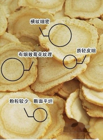 t01a70068ea633bdfd4.jpg