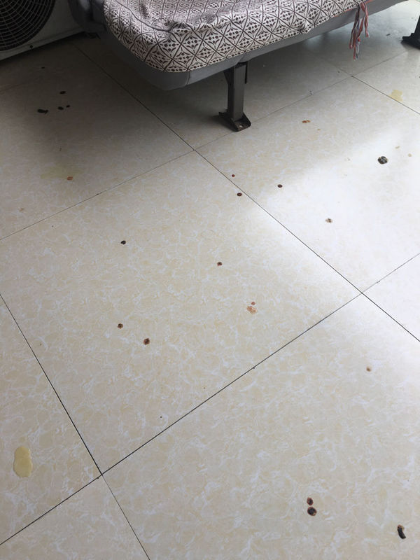 一个人在家好无聊,可是这里我又没认识的人,老