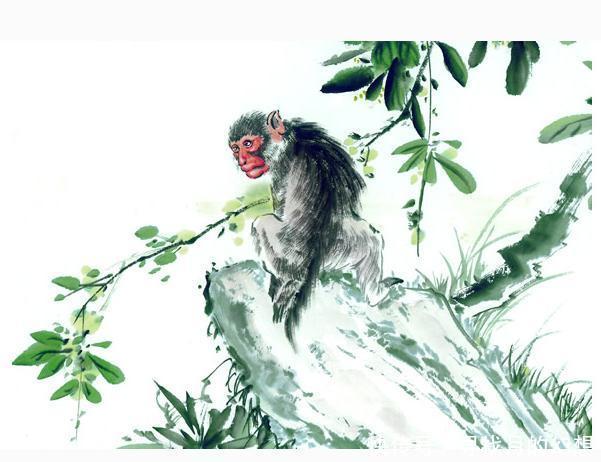 最爱拍别人马屁的生肖,天生的社交高手!