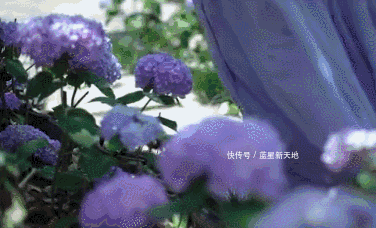 t01a960d5c3921cffb8.gif?size=376x228