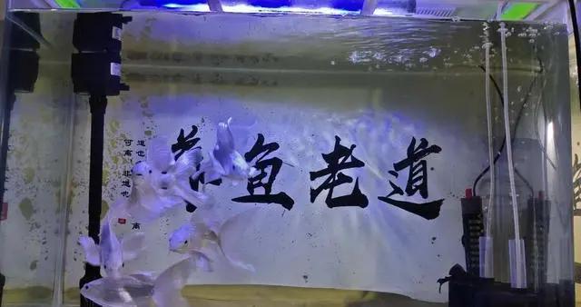 林口縣林口鎮(zhèn)渤海水族箱加工部（林口縣海鮮店）