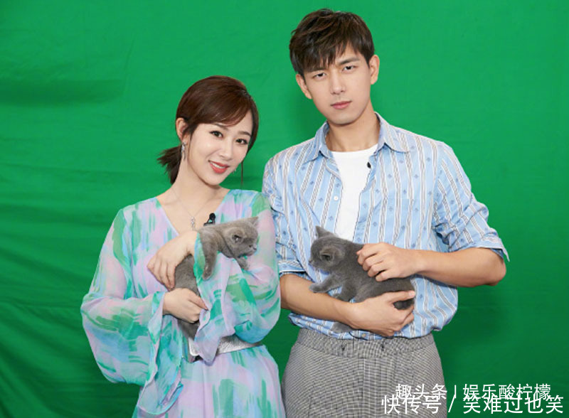 杨紫《沉默的证人》还未首映,豆瓣分就出来了,发生了什么事情 mg电子游艺平台