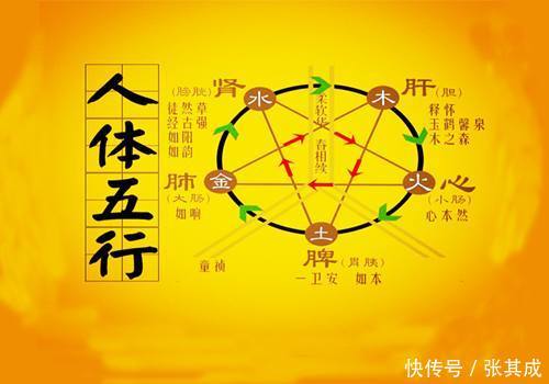 从五行就能看出体质,你是什么体质?