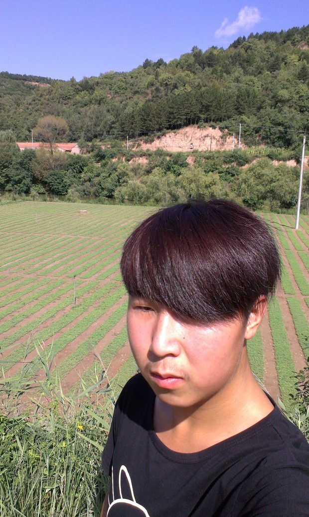 看看我留蘑菇头好看吗,合适吗?_360问答