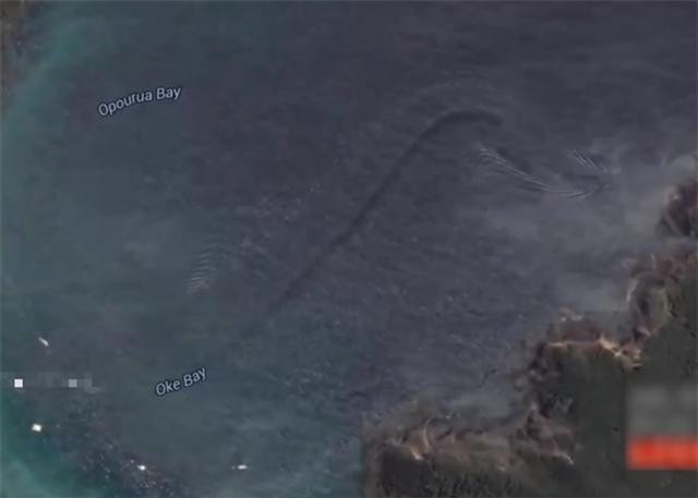 隐藏在谷歌卫星地图里的神秘生物,这是真的吗