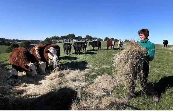 澳大利亚郁闷了!中国取消10多亿订单,转战巴西