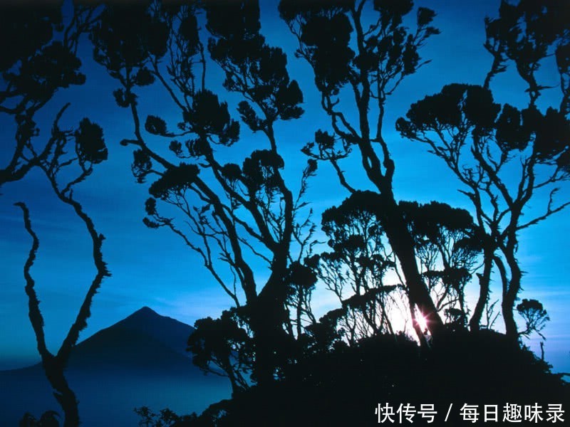 财神要来,谁都挡不住!未来5天之内,3大生肖被财神点名要发财