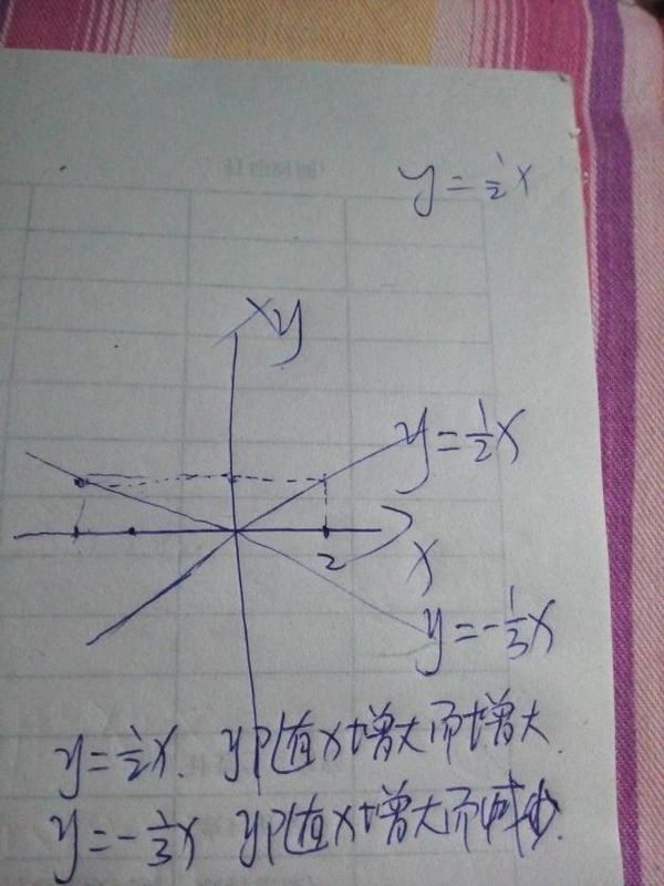 在同一直角坐标系内画出正比例函数y等于二分