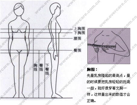 怎么量胸围尺寸图解_360问答