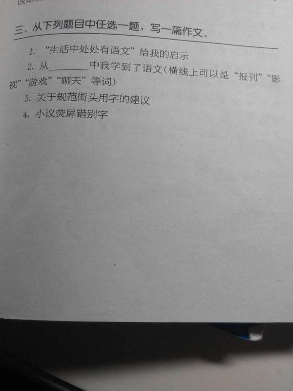 从,中我学到了语文600字