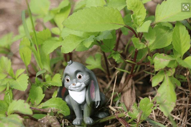 一分钟解析电影《疯狂的动物城》