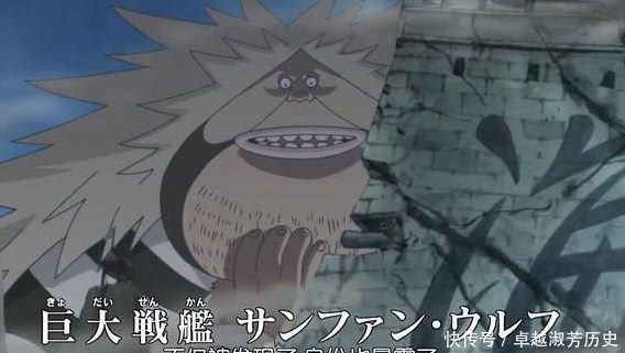 海贼王:不好意思,海王类这种东西,在他们眼里就