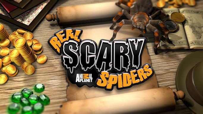 我的蜘蛛 修改版 Real Scary Spiders截图1