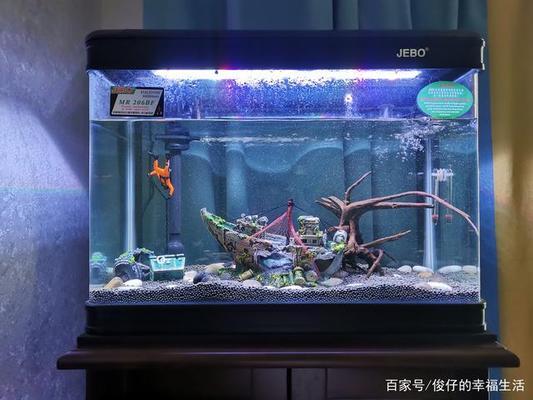 魚缸燈顏色（魚缸燈顏色）