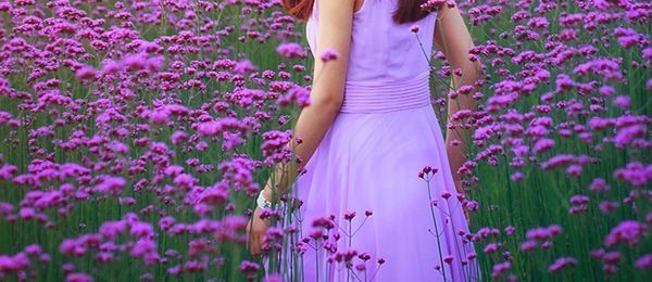 这种类似熏衣草的紫色花叫啥名字_360问答