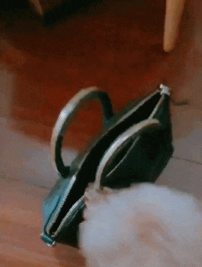 搞笑gif:如何快速叫醒你的媳妇 - 360娱乐,你开心就好