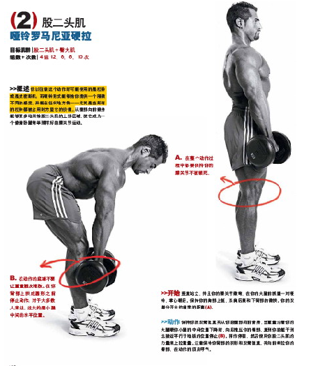 求运动达人或体育教练,问题如图_360问答