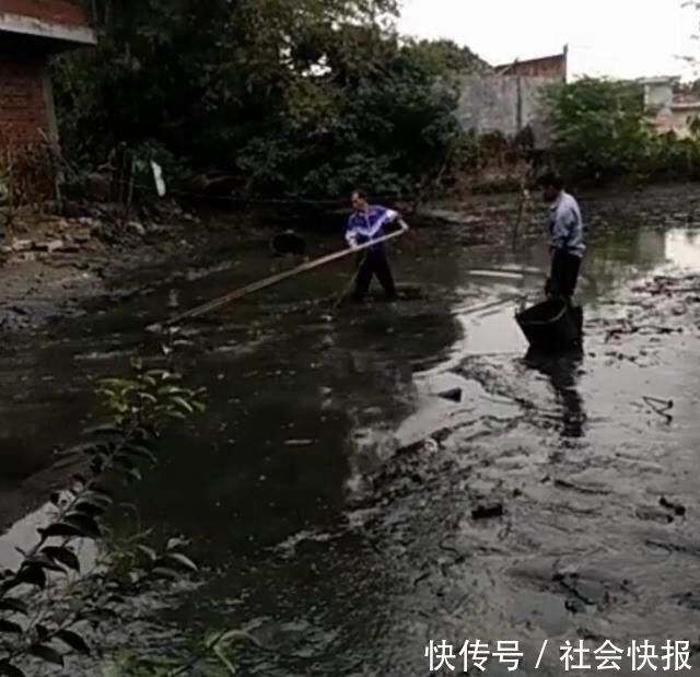 暴雨过后，村子里排水道都是鱼，却无人敢捉，得知原因让人愤怒！