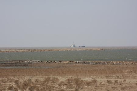 辽河入海口