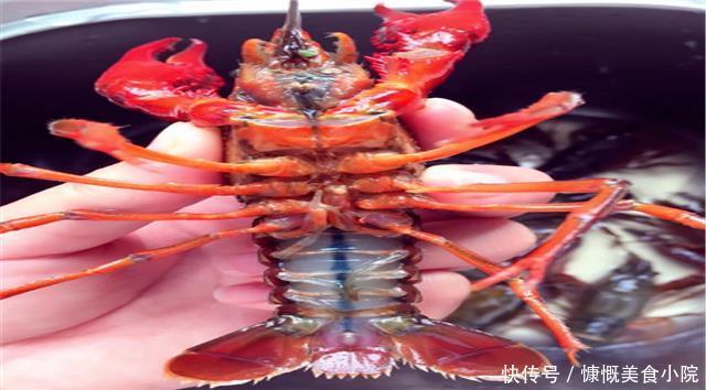 让人流哈喇子的小龙虾真的不能吃吗真的有毒吗
