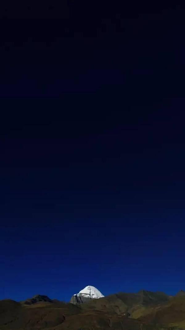 中国电影,创造更多艺术可能--自然生态环境电影