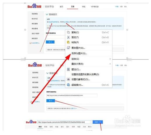 怎么把WPS文字中文件里面的图片复制出来粘