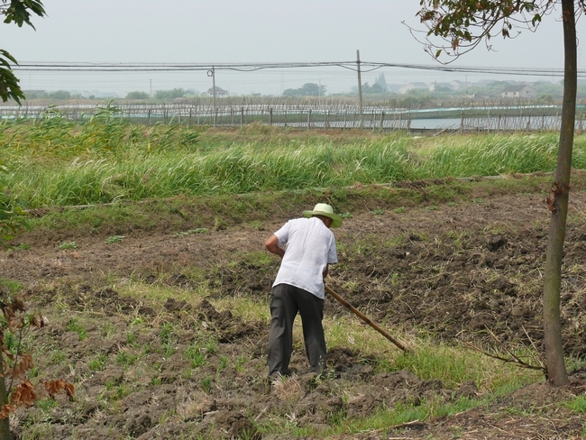 传统农业_360百科