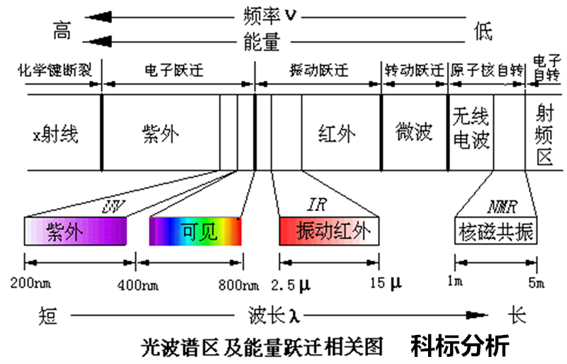 傅里叶变换红外光谱法快速鉴别油茶籽油掺伪