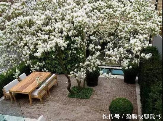一楼庭院设计闲暇在家相关大自然的指南时光h情趣用品的享受文图片