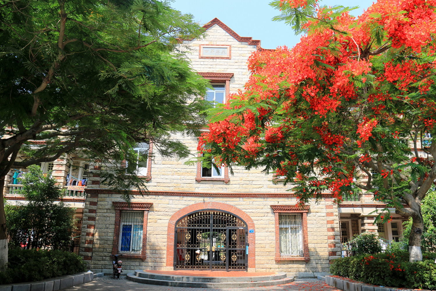 走进厦门大学,感受校园风景,网友都说美