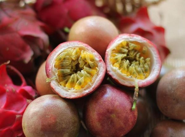 谁知道中山哪里有种植百香果的!_360问答