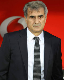 土耳其男子国家足球队教练是谁_360问答