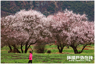 这个春天，来雅鲁藏布大峡谷，共赴一场桃花盛宴