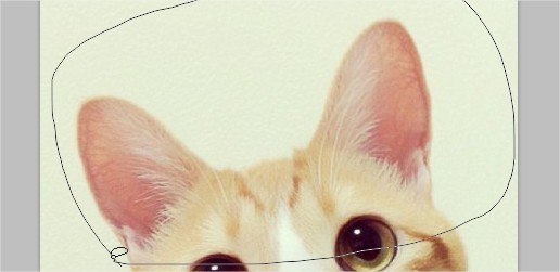 photoshop使用完套索工具后怎样确认_360问答