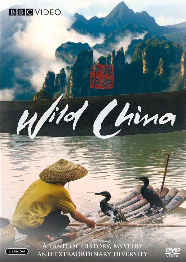 还惦记《舌尖上的中国》的美食？这20多部好纪录片也让你忘不掉！