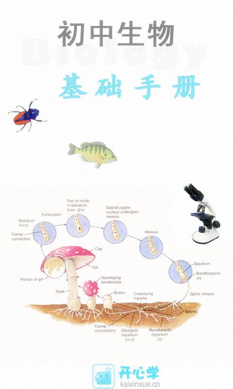 初中生物知识手册截图2