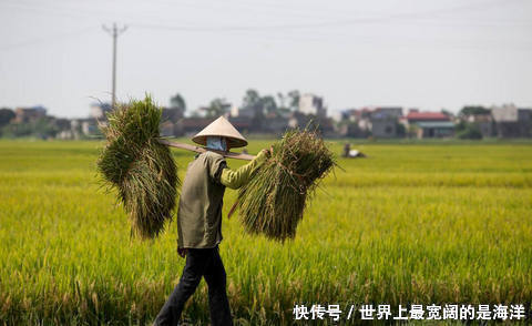 好消息！国家要给农村这3类人发工资了！你拿的到吗？